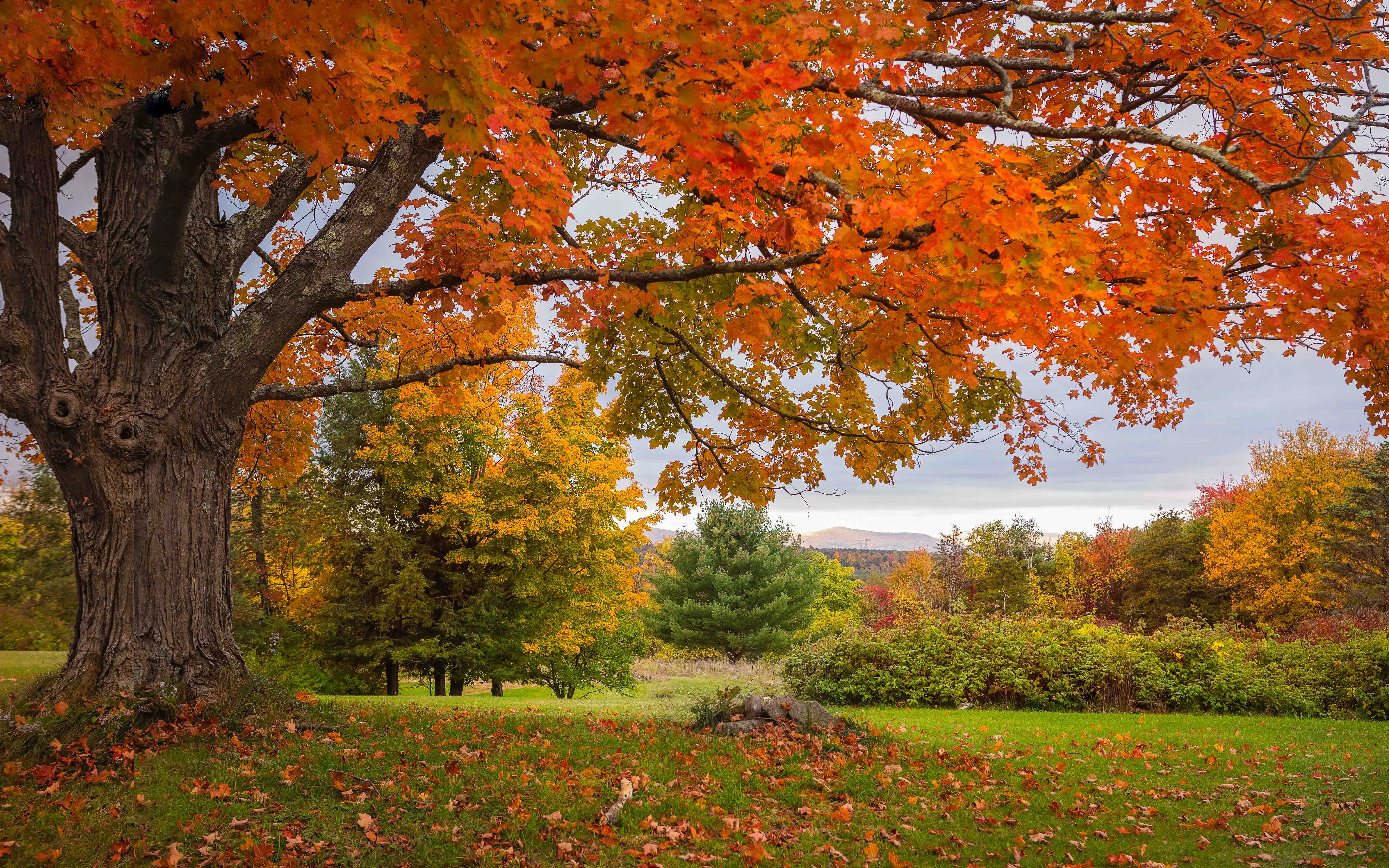 Photo of a beautiful landscape during fall